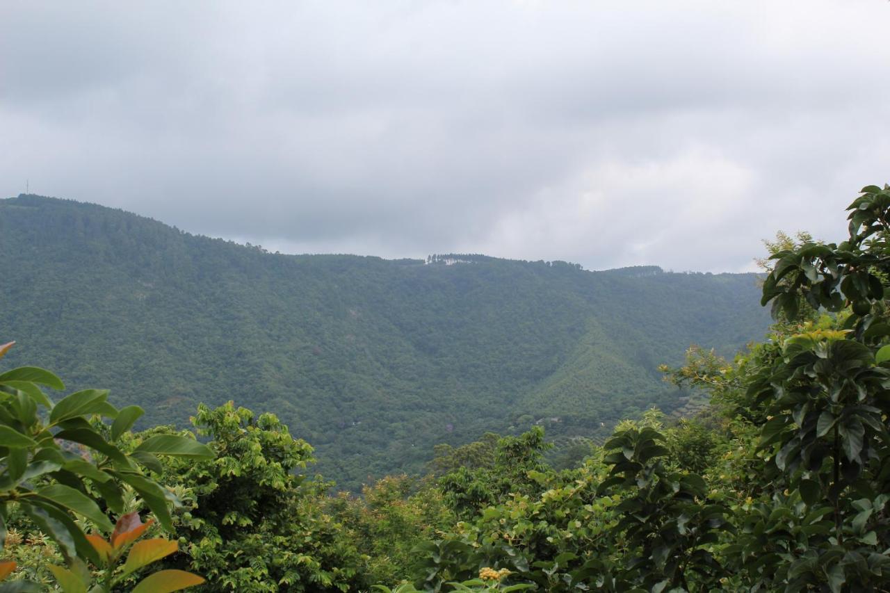 Magoebaskloof Mountain Lodge Tzaneen Luaran gambar